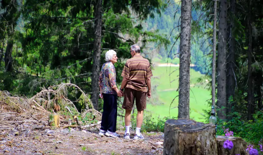 Old couple in the woods holding hands