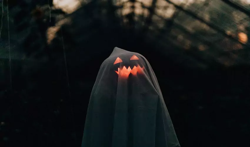 a pumpkin ghost in a greenhouse